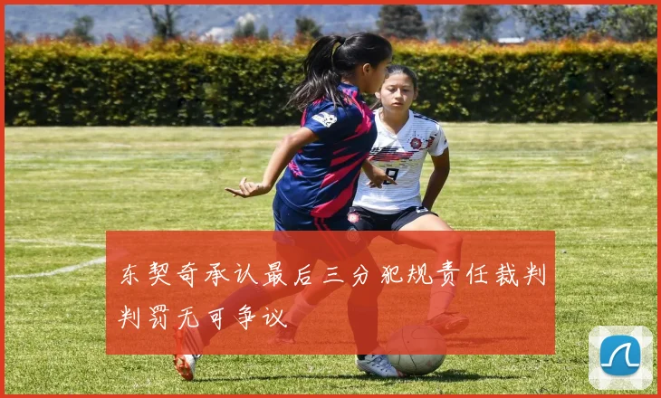 东契奇承认最后三分犯规责任裁判判罚无可争议
