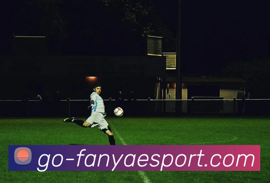 泛亚电竞服务体系